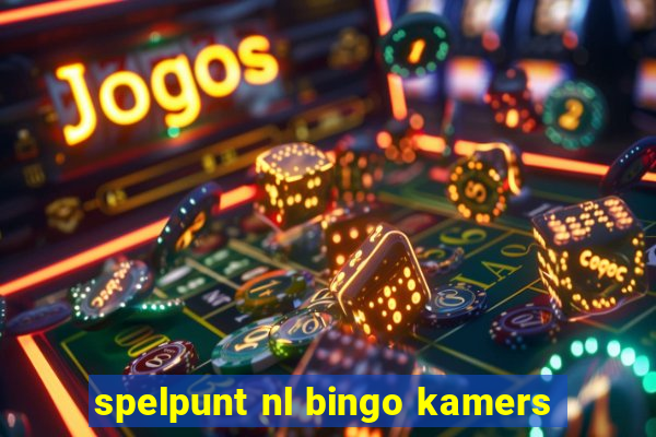 spelpunt nl bingo kamers