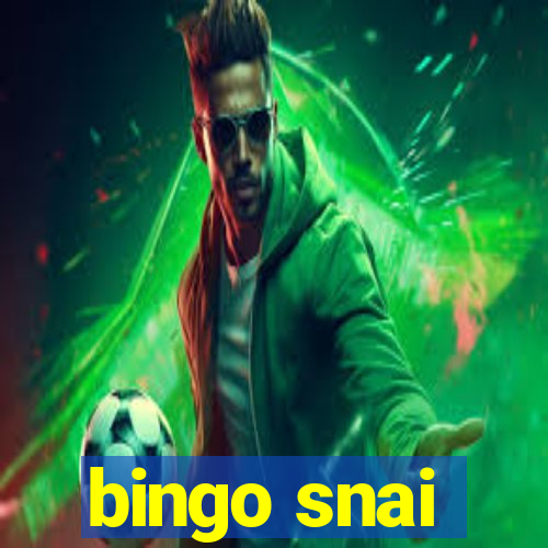 bingo snai