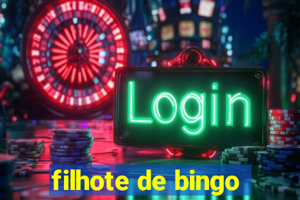 filhote de bingo