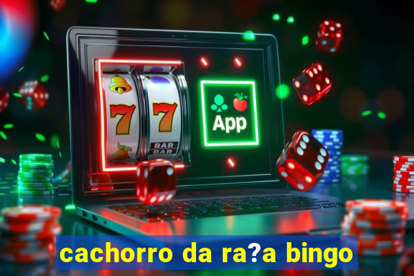 cachorro da ra?a bingo