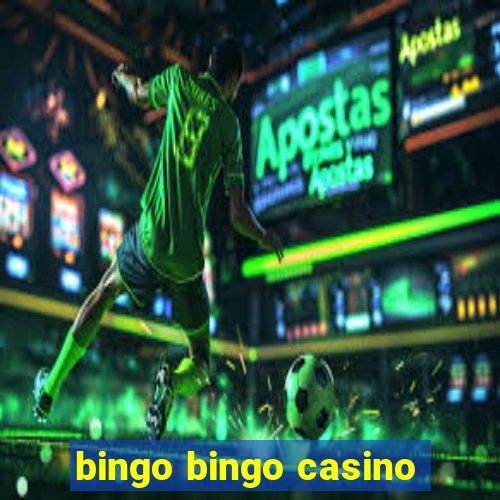 bingo bingo casino