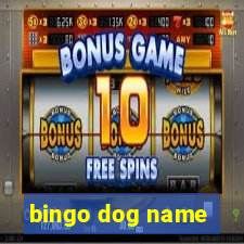 bingo dog name