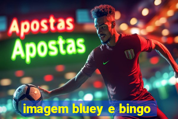 imagem bluey e bingo