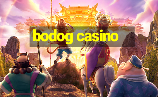 bodog casino