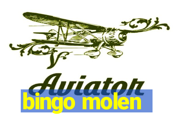 bingo molen