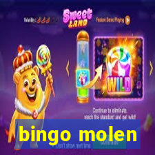 bingo molen