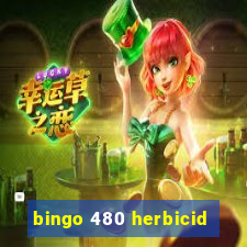 bingo 480 herbicid