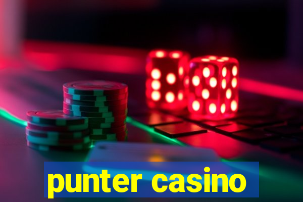 punter casino