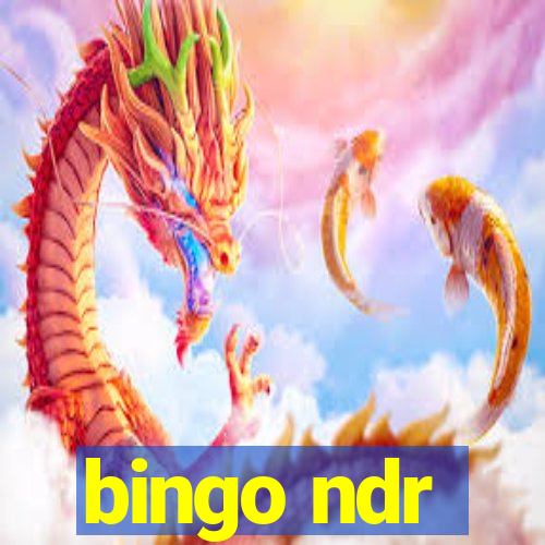 bingo ndr