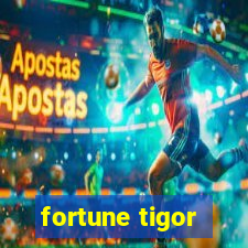 fortune tigor