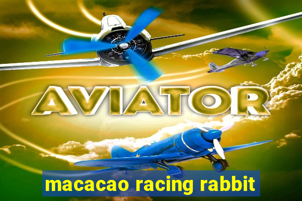 macacao racing rabbit