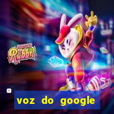 voz do google tradutor homem