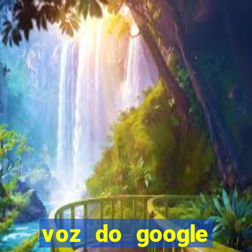 voz do google tradutor homem