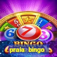 praia bingo dinheiro infinito 2022