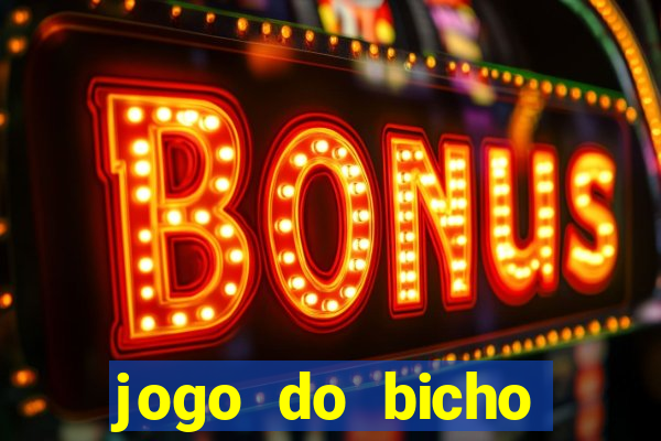 jogo do bicho crash bingo