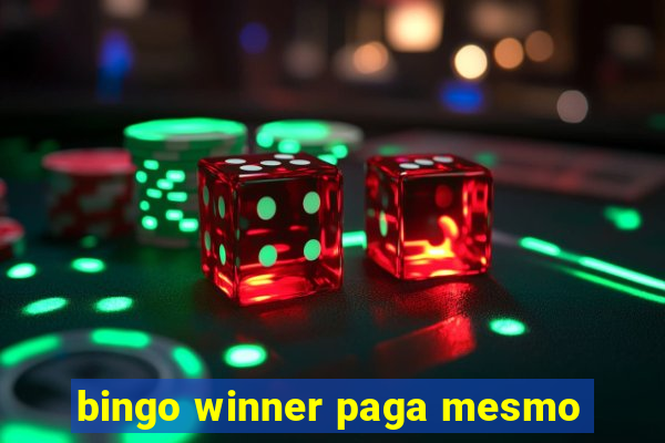 bingo winner paga mesmo