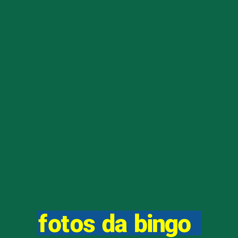 fotos da bingo