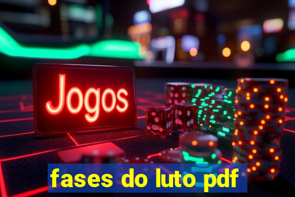 fases do luto pdf