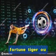 fortune tiger ou fortune ox