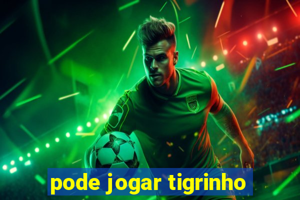 pode jogar tigrinho