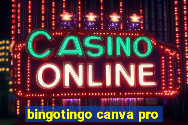 bingotingo canva pro