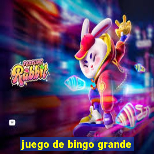 juego de bingo grande