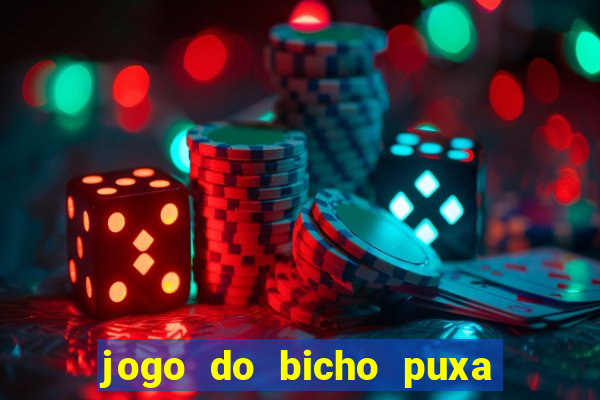 jogo do bicho puxa de dona maria