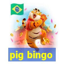 pig bingo