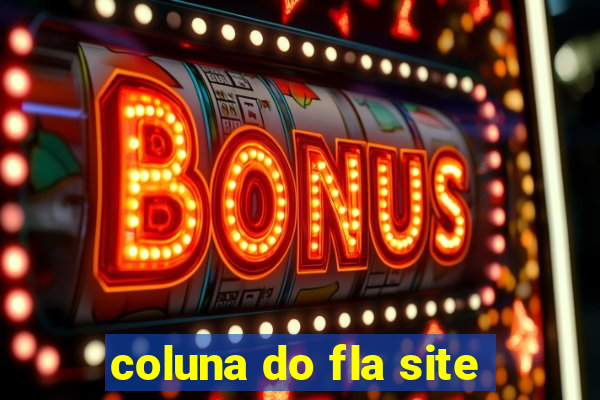 coluna do fla site