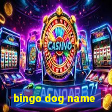 bingo dog name