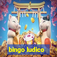 bingo ludico