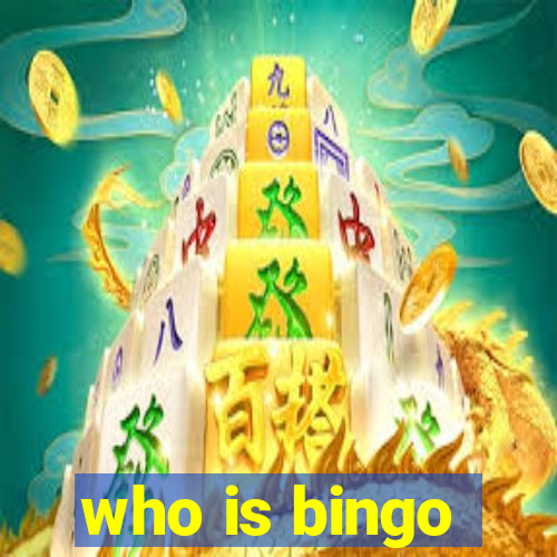 who is bingo