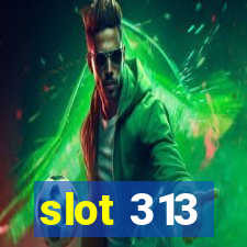 slot 313